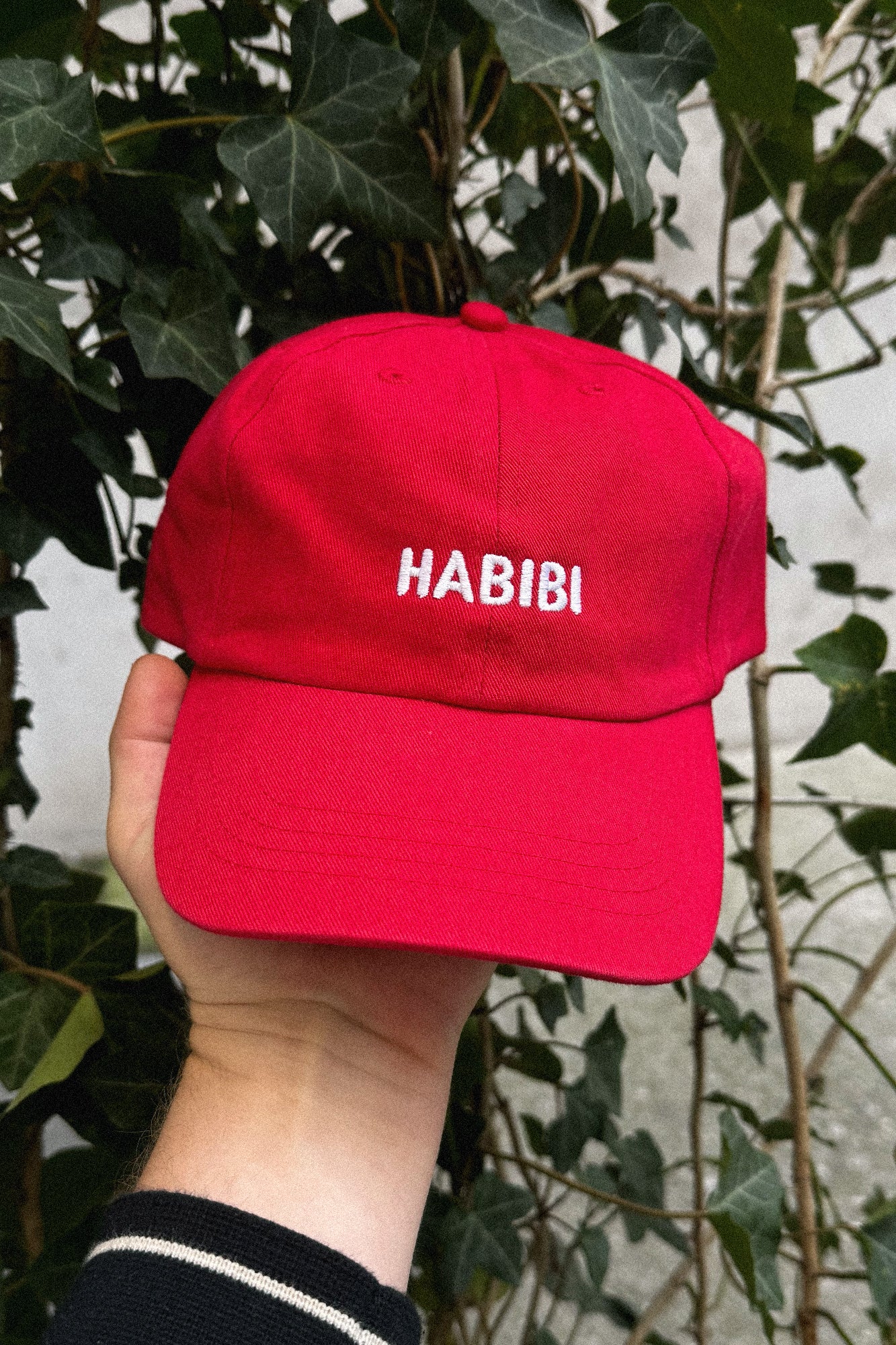 HABIBI DAD CAP